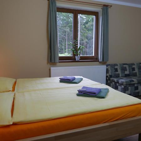 Pension Aspen Harrachov Kültér fotó
