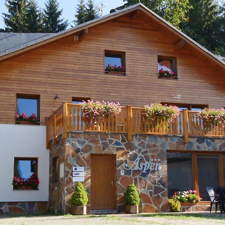 Pension Aspen Harrachov Kültér fotó