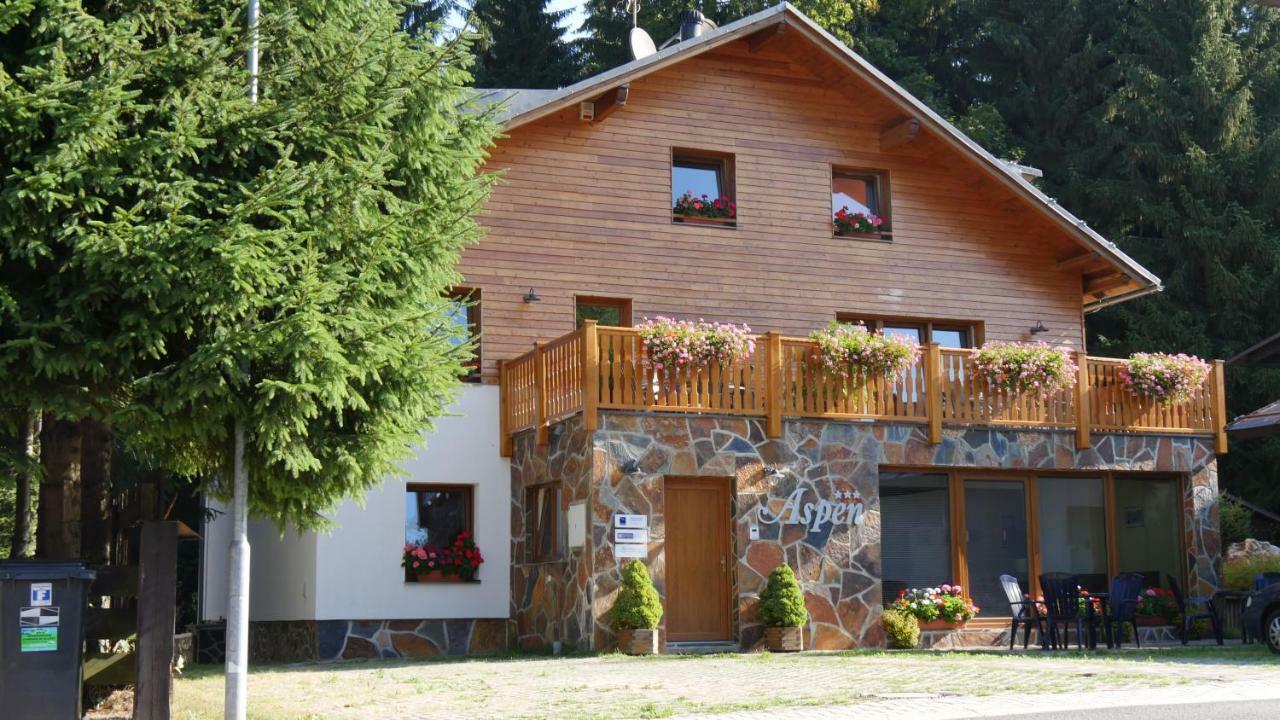 Pension Aspen Harrachov Kültér fotó
