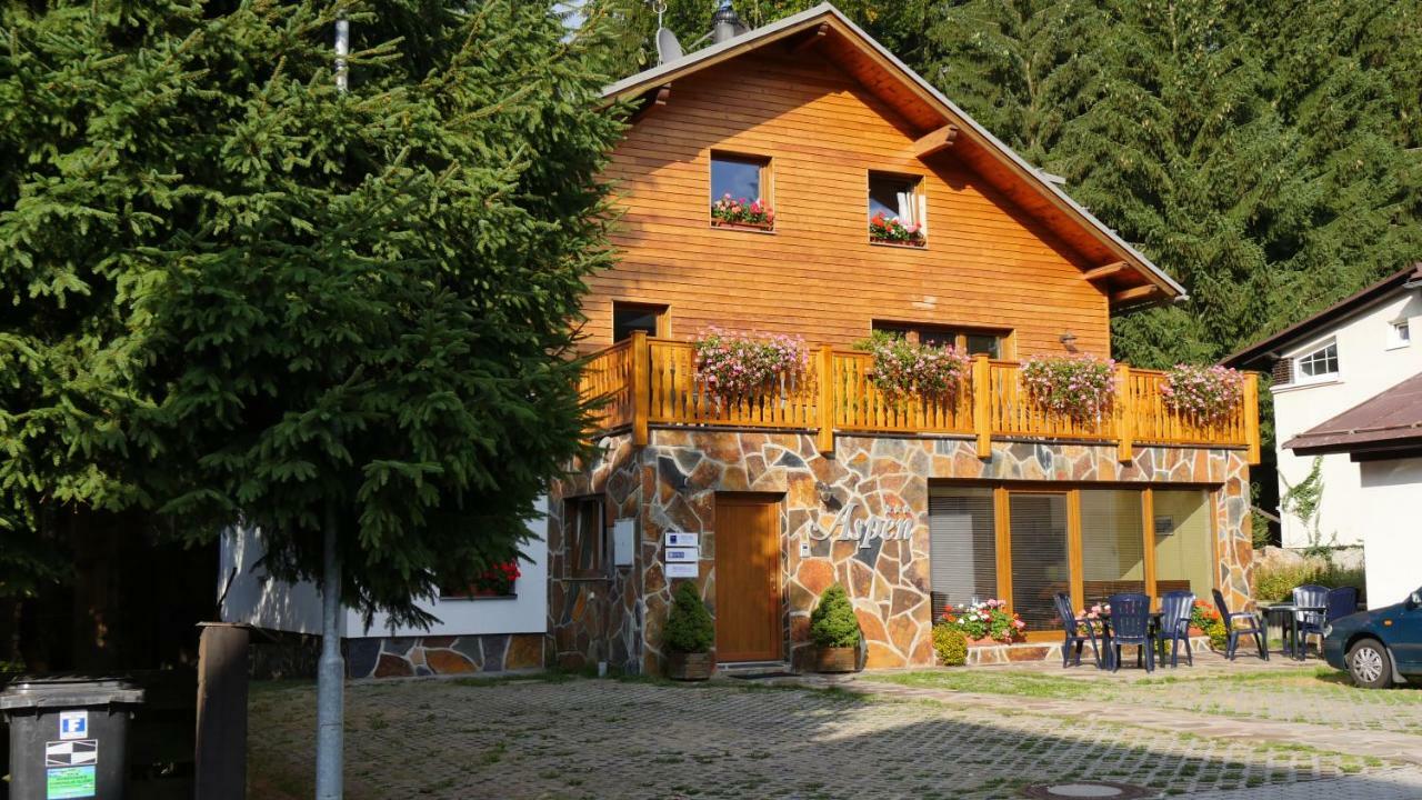 Pension Aspen Harrachov Kültér fotó