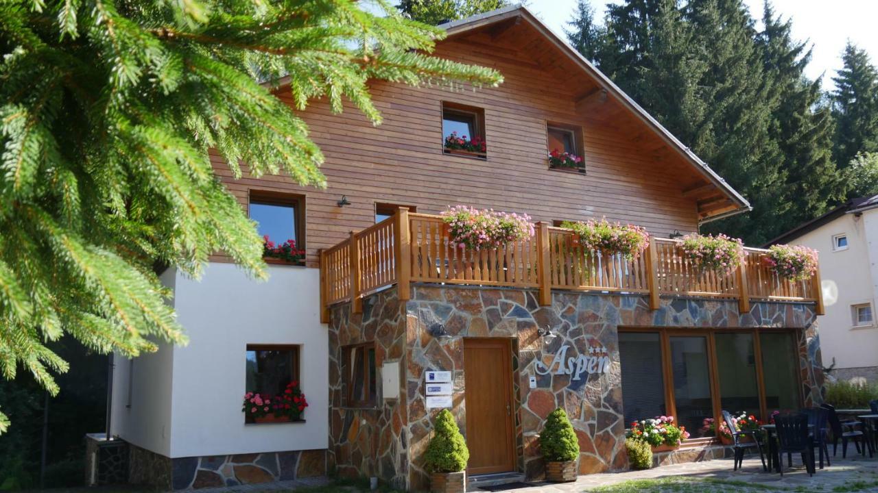 Pension Aspen Harrachov Kültér fotó