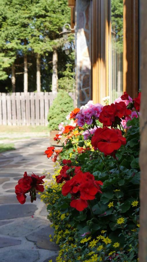 Pension Aspen Harrachov Kültér fotó