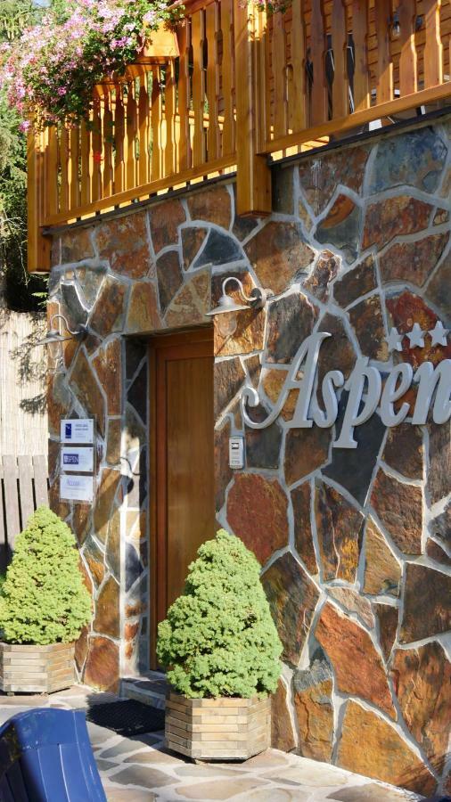 Pension Aspen Harrachov Kültér fotó