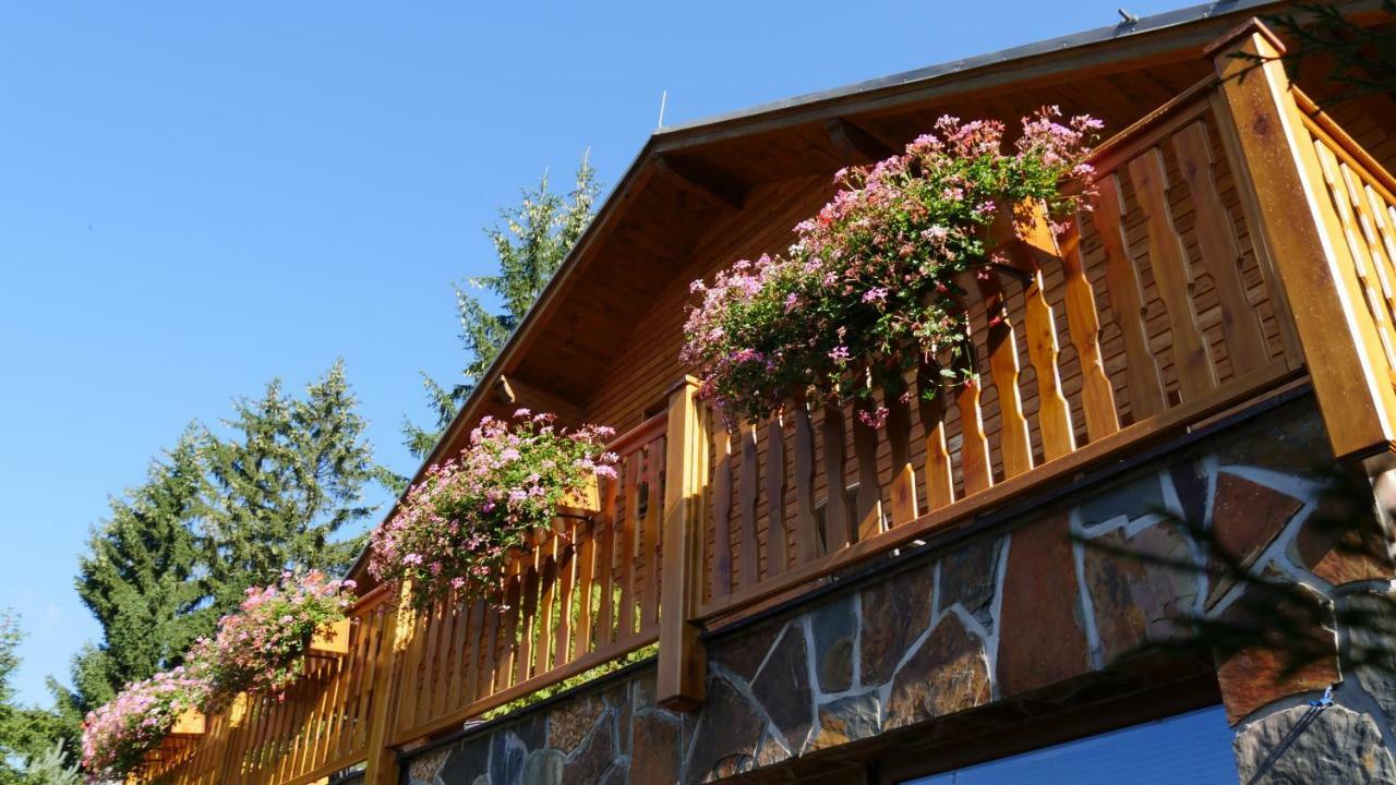Pension Aspen Harrachov Kültér fotó